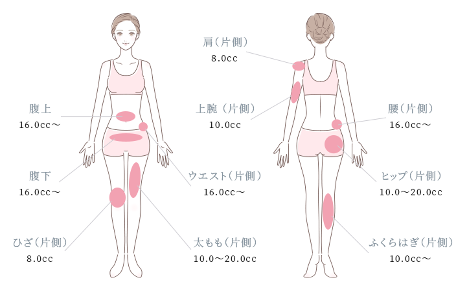 カベリン・チンセラプラス・FatX Core（脂肪溶解注射）